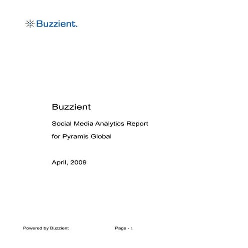 Buzzient pyramis report 2009-04