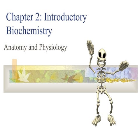 Chapter 2  chemistry notes