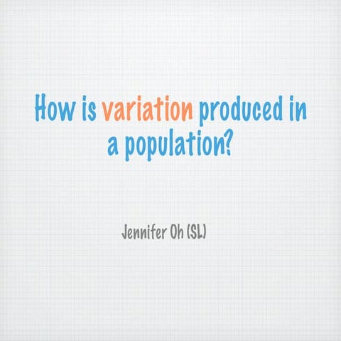 B variation jennifer