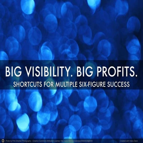 Diane Lefrandt - Big Visibility Big Profits 