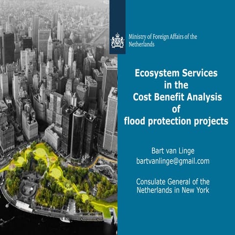 Ecosystem Services in Cost Benefit Analysis 