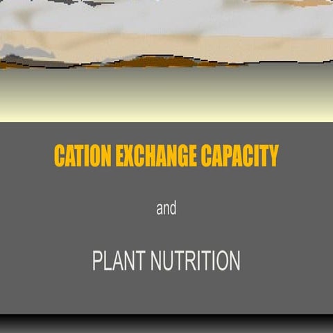 Cation exchange capacity