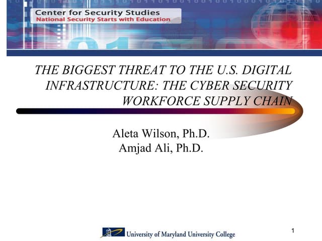 Cyber Security Professionals Viewed via Supply Chain
