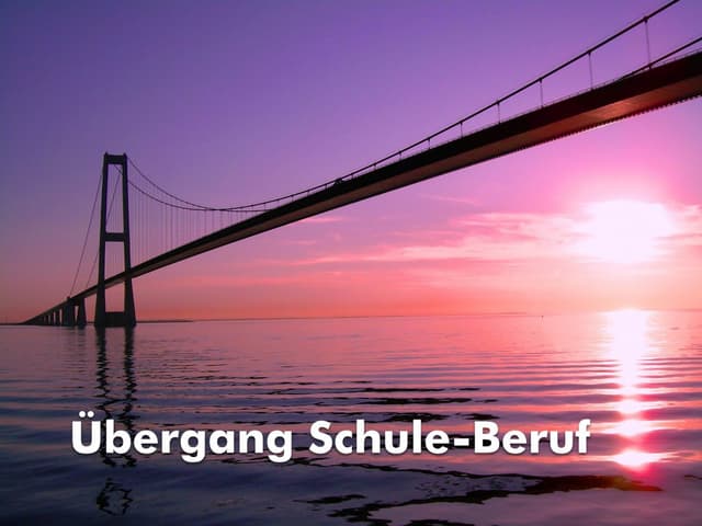 Berufswahlpass