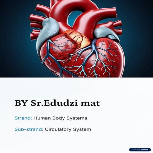 Comprehensive Overview of the Human Circulatory System and Heart ...