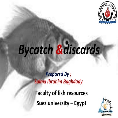 Bycatch and discards from fishing trawls | PPTX