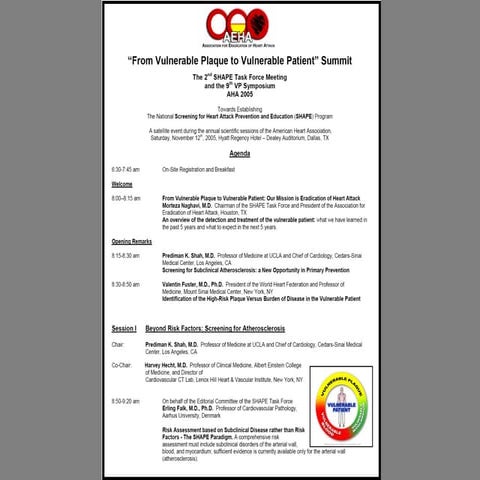 Falk, shape aha 05, final