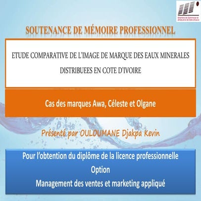 Soutenance Licence Professionnelle EPCCI | PPTX