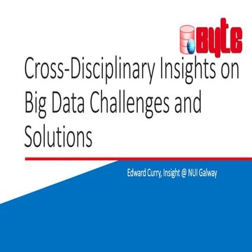 Cross-Disciplinary Insights on Big Data Challenges and Solutions