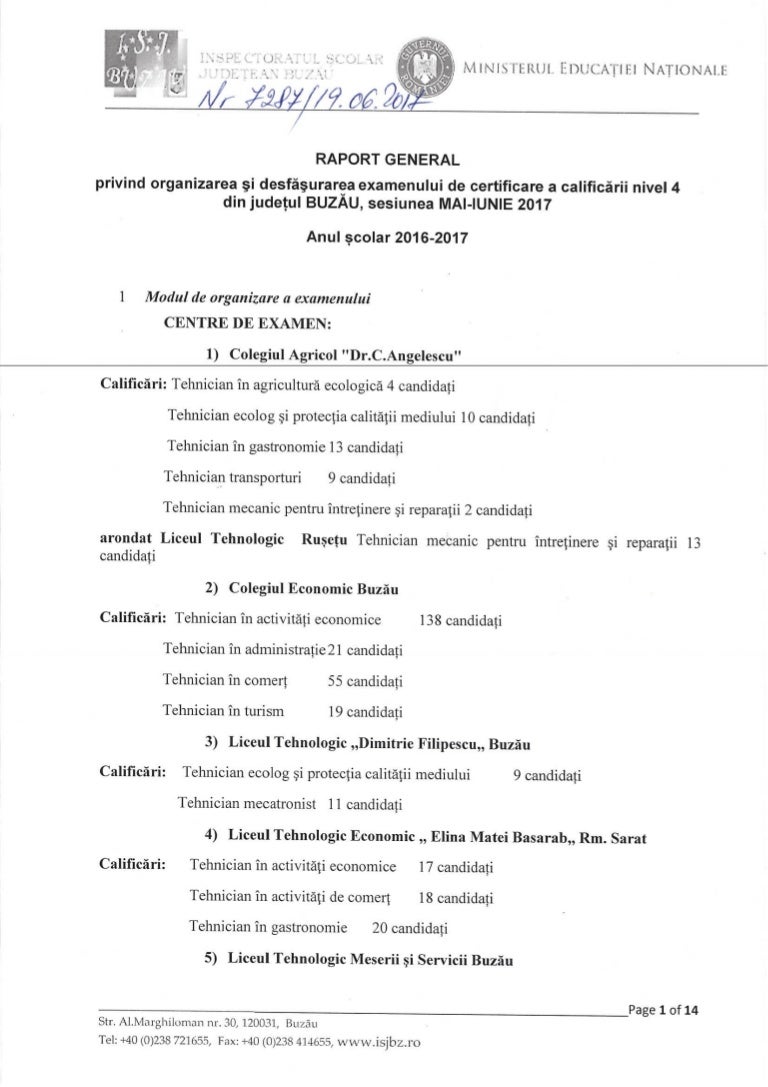 Bz Raport Nivel4 Iunie2017
