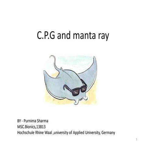 Central pattern Generator in manta ray