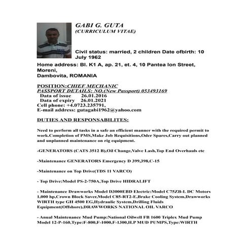 Mohd Feidzal bin Hashim cv | DOCX