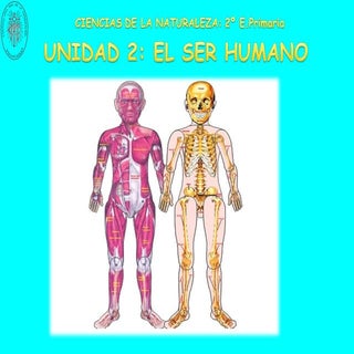 C. naturales unidad 2 el ser humano