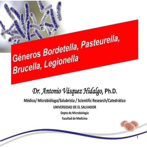 C.bordetella1  micro  19