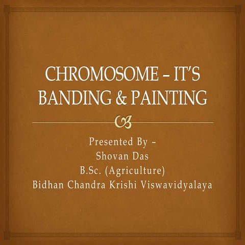 Chromosome - It's Banding & Painting