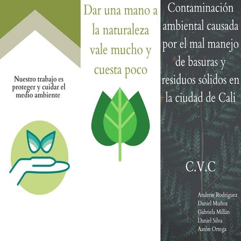 MAL MANEJO DE LAS BASURAS | PPTX