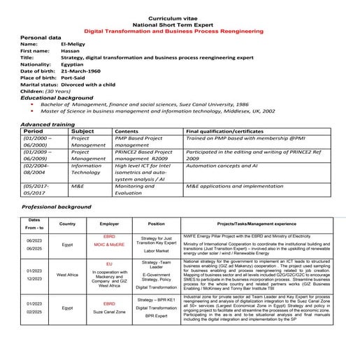 Resume C.V GIZ format- Hassan Mohamed El-Meligy