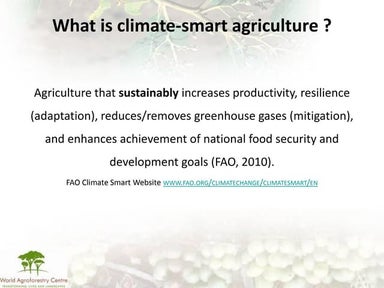 CCAFS Science Meeting C.3 Henry Neufeldt - What does CSA mean for us?