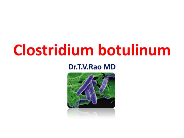 C botulinum-130309211447-phpapp02