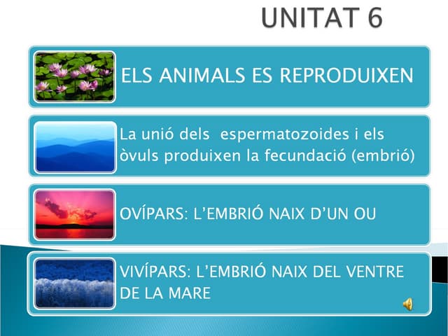 C. Medi  Unitat 6