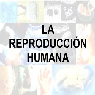 C. Medio LA REPRODUCCIÓN HUMANA Ter...