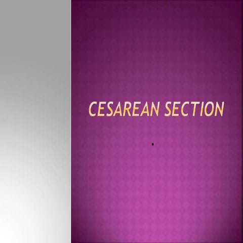 c-section.pptxb hccihhuhfdihfb hbuhubgughufu