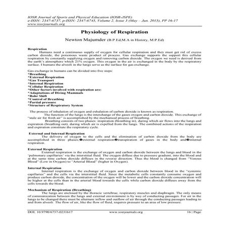 Physiology of Respiration