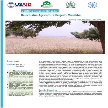 Muzafar FAO Musakhel Report Source Data