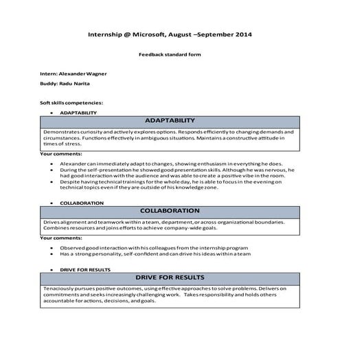 Alexander Wagner Microsoft Feedback