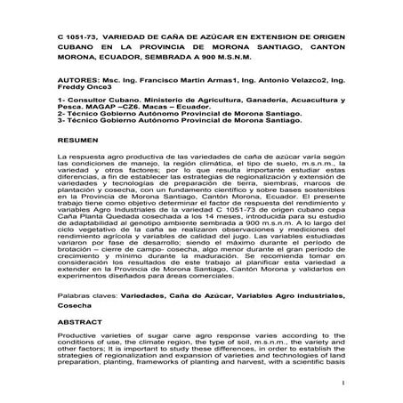 C 1051 73,  variedad de caña de azúcar en extension de origen cubano en la pr...