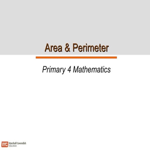 P4 Area and Perimeter