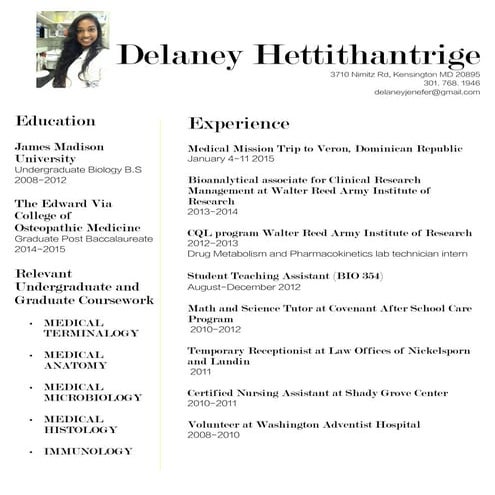 Allison Eisenberg Resume | PDF