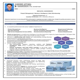 Cognos BI Profile(Vasudev A)