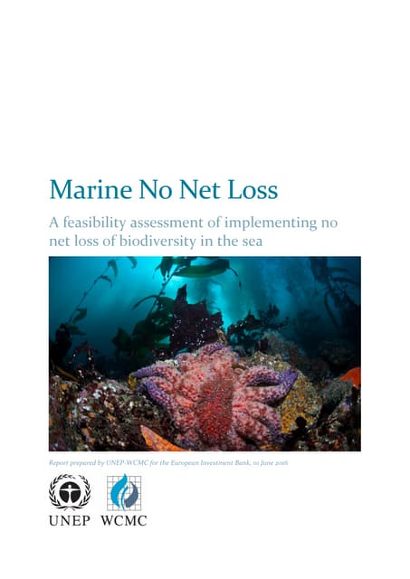 marine no net loss_feasibility assessment