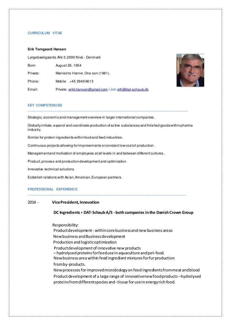 Curriculum vitae examples pdf image