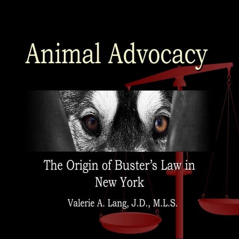 The Origin of Buster's Law in New York