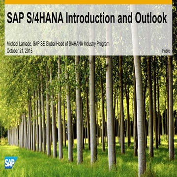 sap s4 hana introduction and outlook