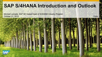 sap s4 hana introduction and outlook