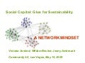 Social Capital: Glue for Sustainability