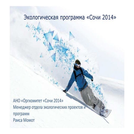 C22 раиса момот зеленый офис для партнеров