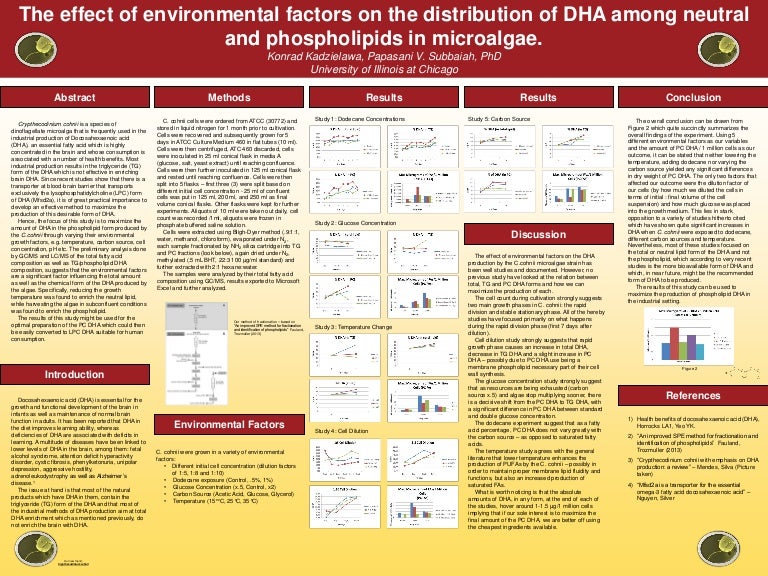 Capstone Project Poster