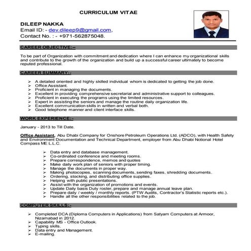 Updated Curriculum Vitae