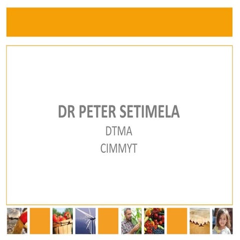 Dr Peter Setimela, DTMA (Drought Tolerant Maize for Africa), CIMMYT