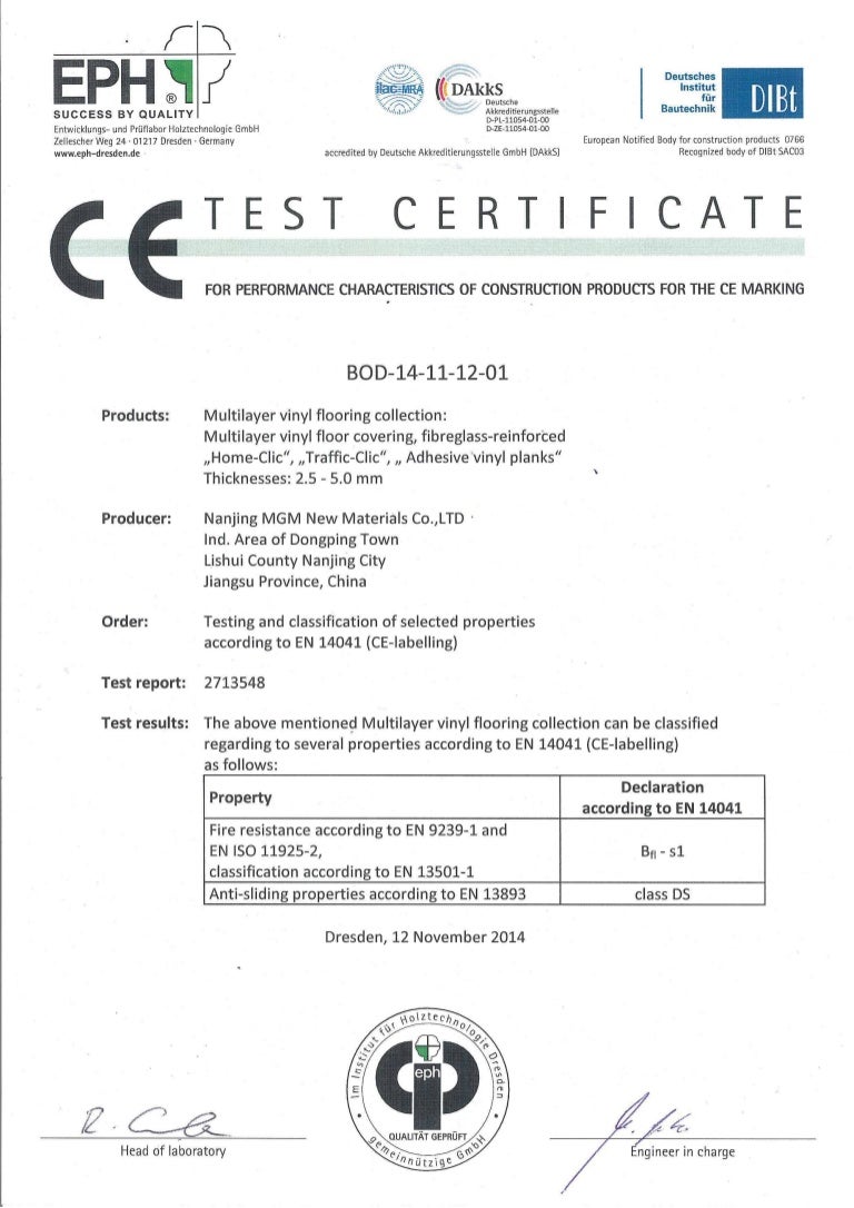 CE Test Report