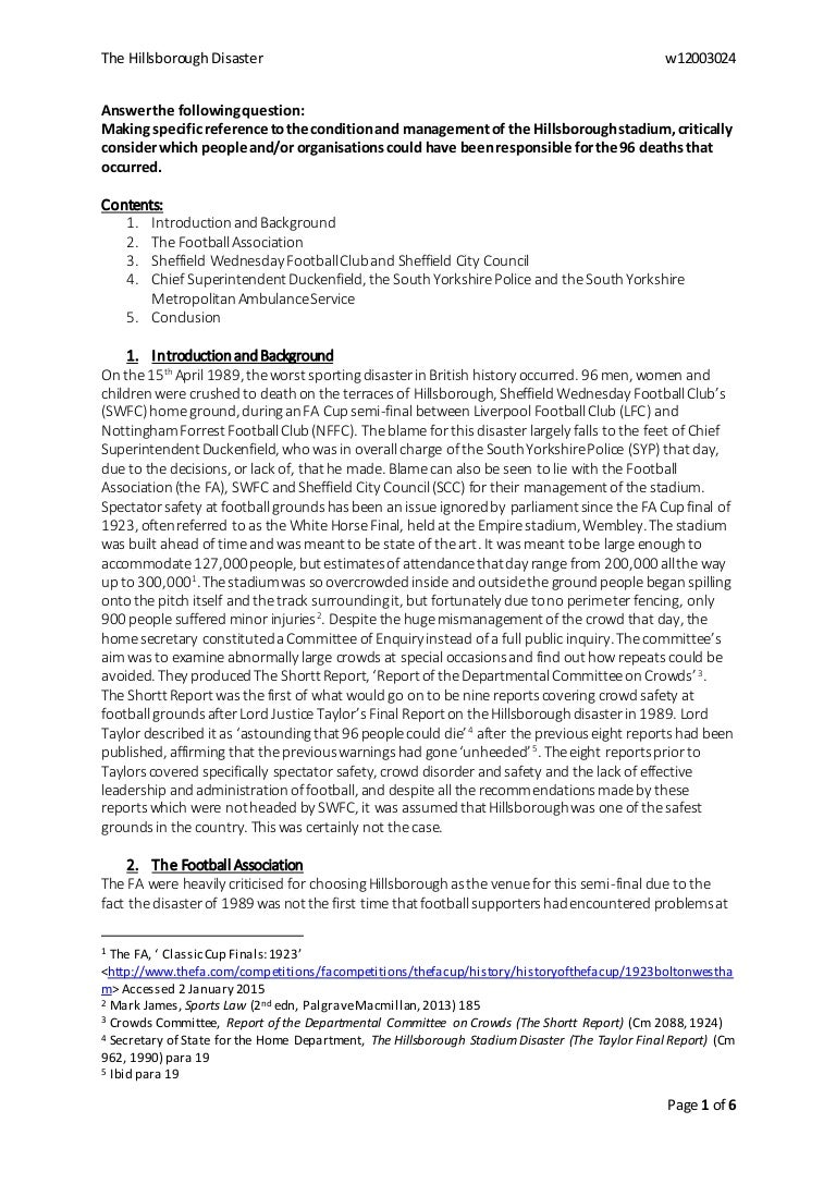 Dissertation on hillsborough disaster 08 image