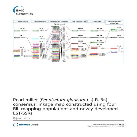 Rajaram et al. 2013. EST-SSRs and consensus map. BMC Genomics, doi 1471-2164-...