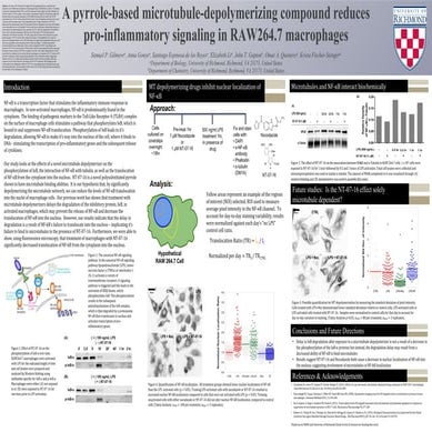 Mechanism poster_SG's Final