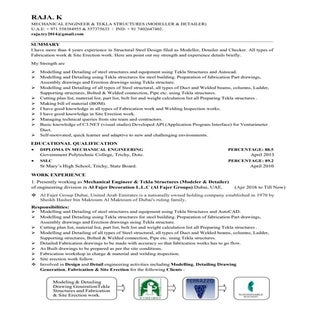 RAJA K RAJA - RESUME