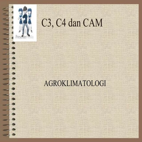 C3, c4 dan cam | PPTX