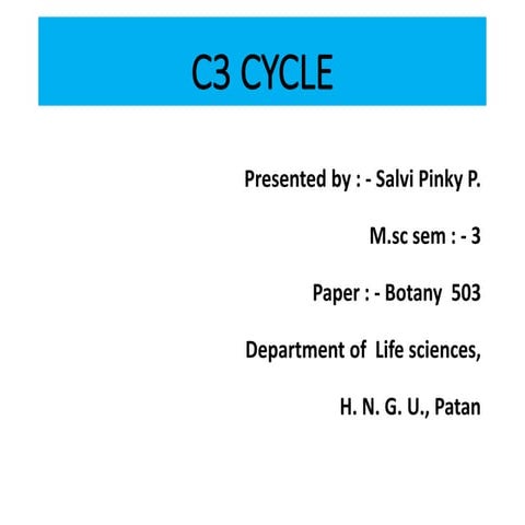 C3 cycle